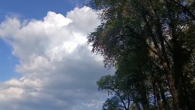 На просторах Мамалаевки. Песня 