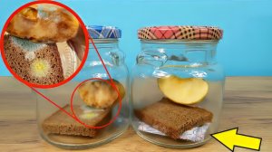 Может ли ПОГЛОТИТЕЛЬ КИСЛОРОДА сохранить продукты