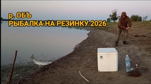 РЫБАЛКА НА ОБИ НА РЕЗИНКУ. НЕОЖИДАННЫЙ УЛОВ!!