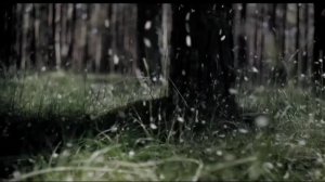 Emmelie de Forest - Only Teardrops