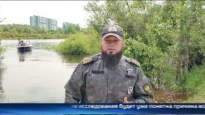 Тюменские специалисты отобрали пробы воды из Туры для выяснения причин гибели рыбы