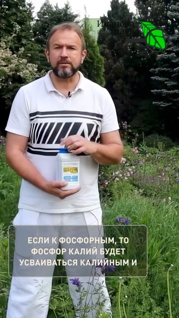 Забудьте про ДРОЖЖИ! Эта ЛОЖКА копеечного средства взорвет рост томатов и огурцов!
