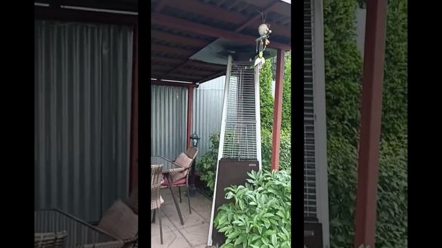 Video Project 1 смотреть онлайн