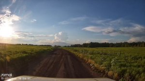 Заяц камикадзе