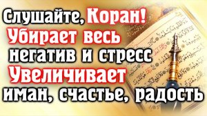 🎧 СЛУШАЙТЕ КОРАН - УБИРАЕТ ВЕСЬ НЕГАТИВ И СТРЕСС, УВЕЛИЧИВАЕТ ИМАН, СЧАСТЬЕ.  Красивое чтение коран