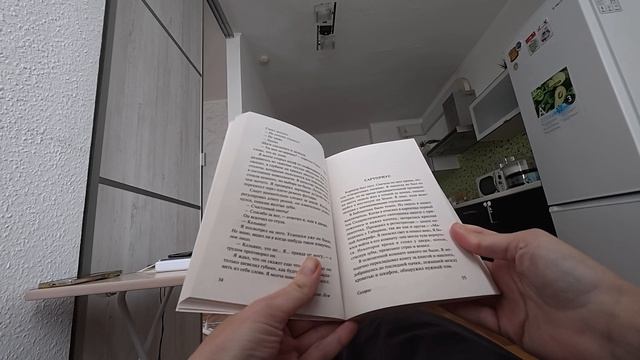96. Обычный день/ мир глазами пса