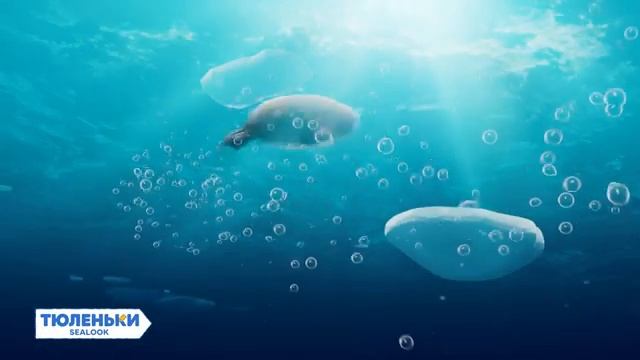 Тюленьки: 10 серия: Летний тюлень
