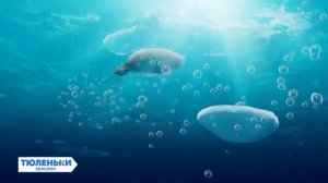 Тюленьки: 10 серия: Летний тюлень