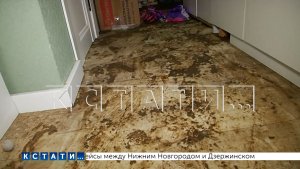 Зловонный фонтан халатности забил из уборной и затопил всю квартиру