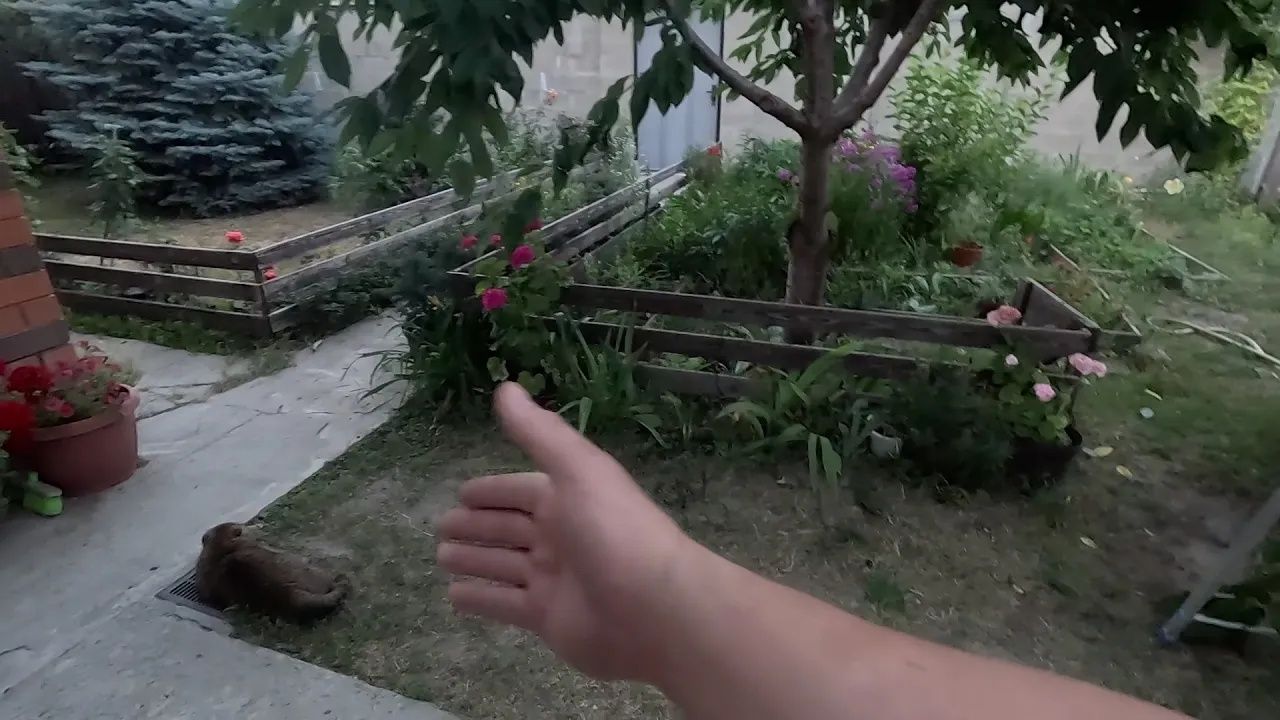 Жизнь вне орхидей. сын не помогает мне в НЕКОТОРЫХ работах по ЭТОЙ причине ⧸⧸ наконец освободил чер смотреть онлайн