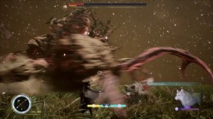 Beast of Reincarnation Combat Overview
