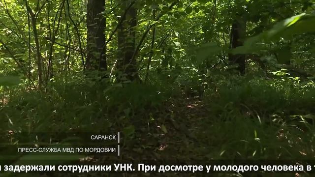 Несостоявшийся наркоторговец смотреть онлайн