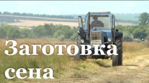 На Деркульском конезаводе заготовили 500 тонн сена к зиме