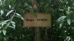 Рыбалка Рязань, село Нармушадь. Июль 2026г