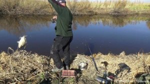 Такой рыбалки у меня еще не было. Огромные караси на поплавочку.