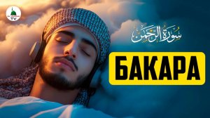 Аль Бакара. Коран. Красивое чтение суры Бакара