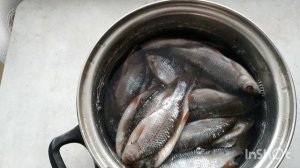 ВЯЛЮ ВОБЛУ ЛЕГКИМ СПОСОБОМ,ВКУСНАЯ ПОЛУЧАЕТСЯ🐟🐟🐟🐟🐟🐟🐟🐟🐟🐟🐟🐟🐟🐟🐟🐟🐟