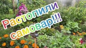 Растопили самовар!