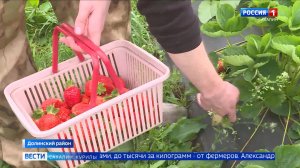 «Вести. Сахалин. Курилы». 15 июля 2026 года