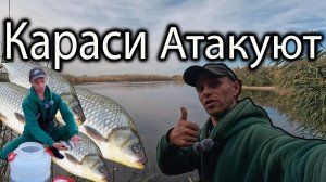 КАРАСИ АТАКУЮТ ТОП РЫБАЛКА НА КАРАСЯ В САРАТОВСКОЙ ОБЛАСТИ #рыбалка2025 #карасьнаудочку
