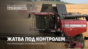Зерно на вес золота: как Беларусь собирает урожай-2026. На контроле Президента