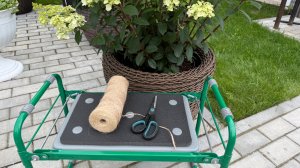 Подвязка гортензий. Рассказываю о сортах которые нуждаются в подвязке