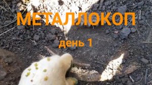МЕТАЛЛОКОП/ДЕНЬ1/СКОЛЬКО МОЖНО НАКОПАТЬ ЗА 10 ДНЕЙ С МД4030/ОТЛИЧНОЕ ЖЕЛЕЗО СССР/АРХИВ.