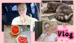 СЕЗОН АРБУЗОВ ОТКРЫТ😋🍉/ДОСТАТКУ В ДОМЕ БЫТЬ 🤩💲
