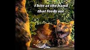 Animal cannibal - Tigerstar & Goldenflower