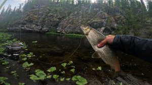 Завершение ОБАЛДЕННОЙ рыбалки на КРАСИВЕЙШЕЙ РЕКЕ