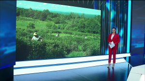 11.46 - «Вести. Адыгея» от 16.07.2026г.