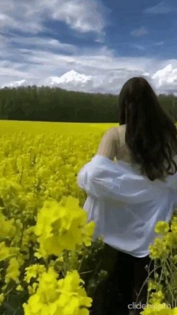 ИЮЛЬ. ЛЕТО, АХ ЛЕТО...! Shorts. смотреть онлайн