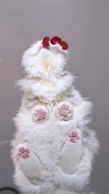 кот кушает