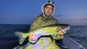 НАБИЛИ ПОЛНУЮ ТАРУ РЫБЫ! НОЧНАЯ РЫБАЛКА НА ЛАДОГЕ | ЛОВЛЯ СУДАКА НА ТРОЛЛИНГ