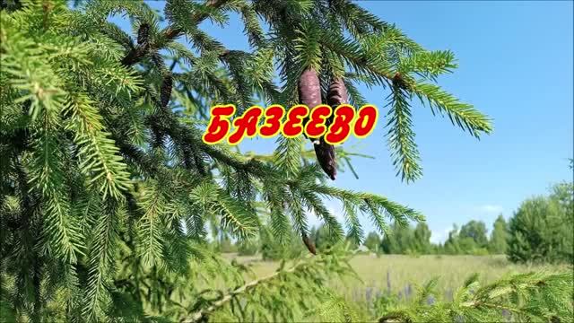 БАЗЕЕВО смотреть онлайн