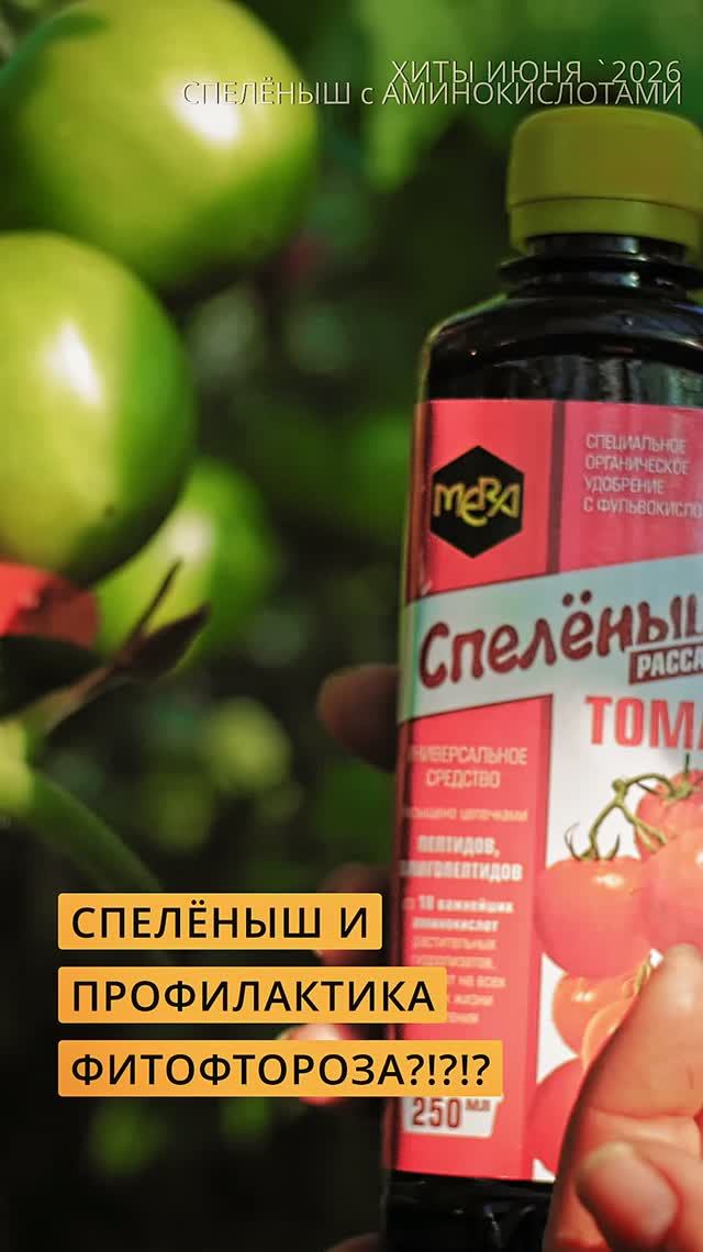 Открытие года - Спелёныш для рассады при борьбе с фитофторозом. #дача #огород #сад #garden #томаты