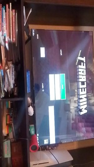 Minecraft