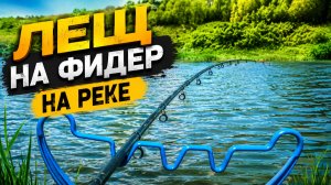 Когда мелочь атакует каждый заброс, а ты пришел за лещем. Рыбалка на фидер на реке Быстрая Сосна