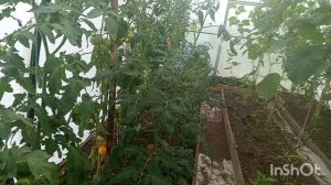 16-07-2026 года.На улице дождь,от работы отдыхаю.