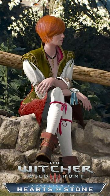 ВОЙНА или НАБЕГ Витольд о Шани Witcher 3 Hearts of Stone #shorts