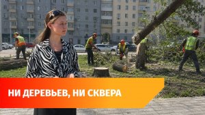 В Уфе спилили деревья ради сквера, которого не будет