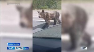 09:30 ВЕСТИ САХА 16/07/26 НА ЯКУТСКОМ ЯЗЫКЕ