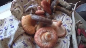 ЖИЗНЬ В ДЕРЕВНЕ!КАРЕЛ МИМО ПРОШЁЛ А Я ВОЛНУШКУ НАШЕЛ.КАК СЛАВКА ОТДЫХАЕТ НА СЕВЕРЕ!