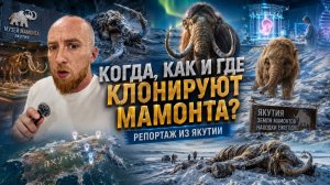 Когда, как и где клонируют Мамонта?