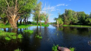 Очень трудовая рыбалка или как меня снова выручил мормышинг