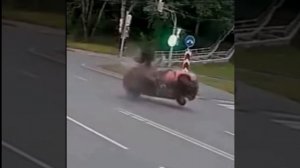 Не гоняйте, ребятки 😱😱😱