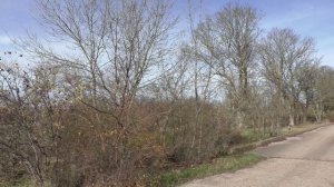 Приморский парк.Вчера,сегодня.завтра.