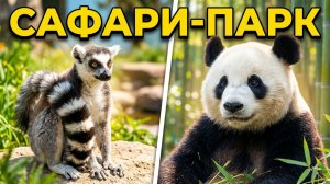 Панда в Бэйдайхэ.Понравился ли мне сафари -парк__Ужин в Дэюане