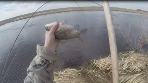 Рыбалка на паук. Пришла большая вода, а с ней и много рыбы.