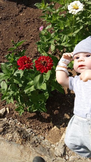 трансляция🥰